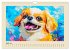 Hundegesichter im Ölgemälde-Stil.... - Bild 10