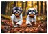 Shih Tzu - der wuschelige Hund aus... - Bild 4