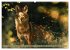 Die wilden Hunde (hochwertiger Premium... - Bild 12