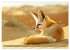 Die wilden Hunde (hochwertiger Premium... - Bild 13