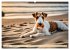 Drahthaar-Foxterrier (Wandkalender 2026... - Bild 14