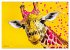 GIRAFFEN - Modern Art (Wandkalender... - Bild 7