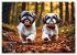 Shih Tzu - der wuschelige Hund aus... - Bild 3
