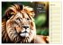 Wer rennt am schnellsten? (Wandkalender... - Bild 11