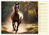 Wer rennt am schnellsten? (Wandkalender... - Bild 15