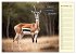 Wer rennt am schnellsten? (Wandkalender... - Bild 4