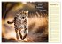 Wer rennt am schnellsten? (Wandkalender... - Bild 5
