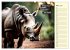 Wer rennt am schnellsten? (Wandkalender... - Bild 9
