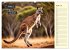 Wer rennt am schnellsten? (Wandkalender... - Bild 10