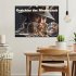 Gesichter der Menschheit (Wandkalender... - Bild 2