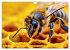 HONIG - flüssiges Gold (Wandkalender... - Bild 9