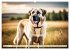 Kangal - der starke Herdenschutzhund... - Bild 10