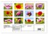 ZAUBERHAFTE MOHNBLÜTEN IN SCHARLACHROT... - Bild 6