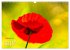 ZAUBERHAFTE MOHNBLÜTEN IN SCHARLACHROT... - Bild 8