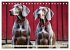 Weimaraner - der ideale Jagdbegleiter... - Bild 15