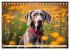 Weimaraner - der ideale Jagdbegleiter... - Bild 10