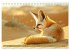 Die wilden Hunde (Tischkalender 2026... - Bild 14
