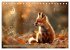 Die wilden Hunde (Tischkalender 2026... - Bild 10
