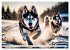 Siberian Huskies - die Extremsportler... - Bild 14