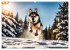 Siberian Huskies - die Extremsportler... - Bild 10
