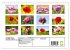 ZAUBERHAFTE MOHNBLÜTEN IN SCHARLACHROT... - Bild 6