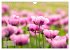 ZAUBERHAFTE MOHNBLÜTEN IN SCHARLACHROT... - Bild 9