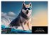 Der tierisch lustige Husky Kalender... - Bild 12