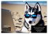 Der tierisch lustige Husky Kalender... - Bild 13