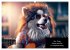 Der tierisch lustige Husky Kalender... - Bild 14