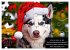 Der tierisch lustige Husky Kalender... - Bild 4