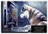 Der tierisch lustige Husky Kalender... - Bild 10
