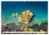Kroatien von oben (hochwertiger Premium... - Bild 13