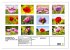ZAUBERHAFTE MOHNBLÜTEN IN SCHARLACHROT... - Bild 6