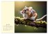 Goldige Mäuse im Grünen (hochwertiger... - Bild 12