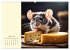 Goldige Mäuse im Grünen (hochwertiger... - Bild 6