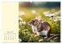 Goldige Mäuse im Grünen (hochwertiger... - Bild 7