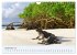 Entdecke Galapagos (Wandkalender 2026... - Bild 15