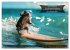 Der tierisch lustige Surfkalender... - Bild 11