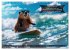 Der tierisch lustige Surfkalender... - Bild 4