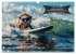 Der tierisch lustige Surfkalender... - Bild 5
