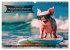 Der tierisch lustige Surfkalender... - Bild 9