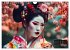 Geishas Portraits von japanischen... - Bild 12