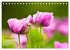 ZAUBERHAFTE MOHNBLÜTEN IN SCHARLACHROT... - Bild 15