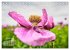 ZAUBERHAFTE MOHNBLÜTEN IN SCHARLACHROT... - Bild 7