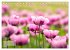 ZAUBERHAFTE MOHNBLÜTEN IN SCHARLACHROT... - Bild 9