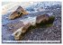 Normandie Die Farben der Ebbe... - Bild 13