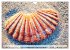 Normandie Die Farben der Ebbe... - Bild 3