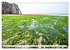 Normandie Die Farben der Ebbe... - Bild 5