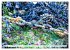Normandie Die Farben der Ebbe... - Bild 10