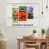 Insekten-Sommer (Wandkalender 2026 DIN... - Bild 2